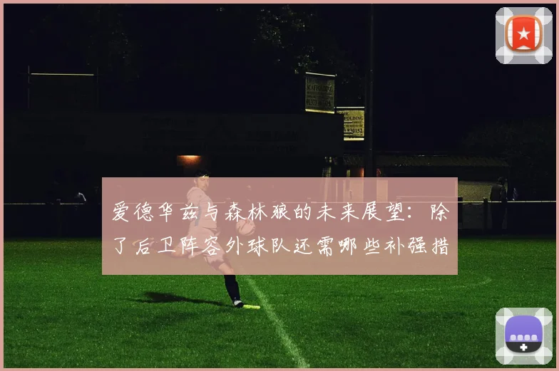 爱德华兹与森林狼的未来展望：除了后卫阵容外球队还需哪些补强措施