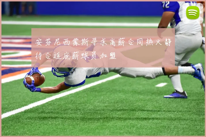 安芬尼西蒙斯寻求高薪合同热火静待合适底薪球员加盟