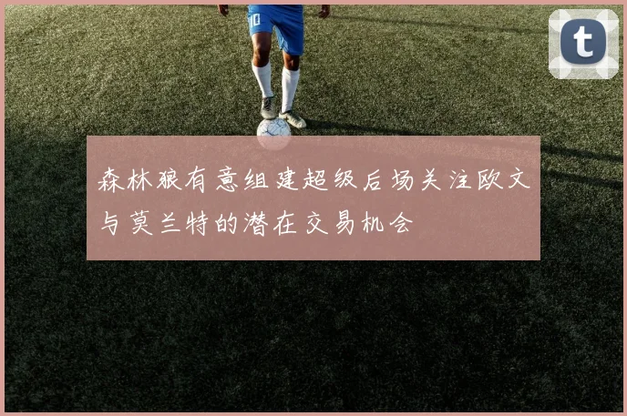 森林狼有意组建超级后场关注欧文与莫兰特的潜在交易机会